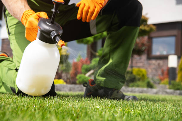 Best Wasp Removal Services  in Hialeah, FL